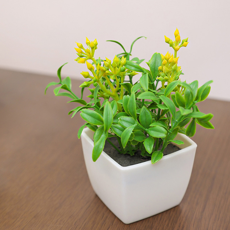 Le piccole piante in vaso di f - Baby Bookshelf Small recensione e prezzo