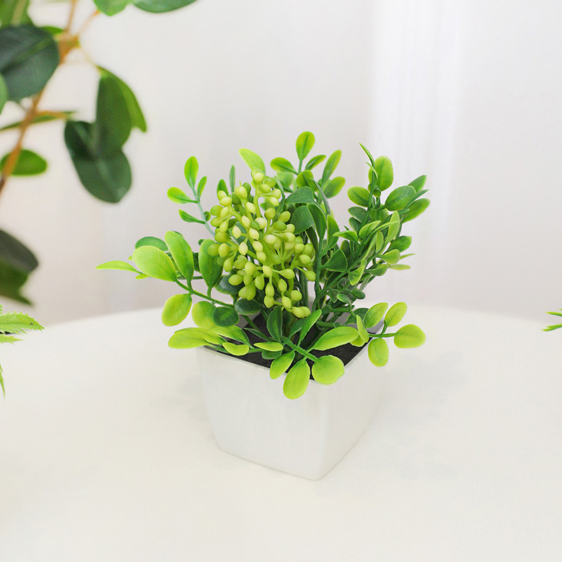 Le piccole piante in vaso di f - Baby Bookshelf Small recensione e prezzo